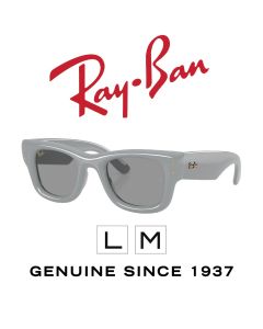 Lunettes de soleil d'origine > Ray-Ban 4940 · Puffer 6876/1