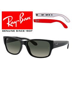 2x Branches Rechange Originales > Ray-Ban 4388